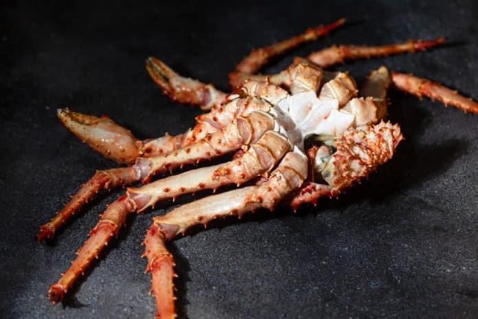 Temps de cuisson Araignée de mer