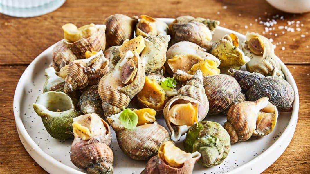 Temps de cuisson des bulots : Réussir vos fruits de mer