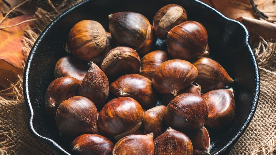 Temps de cuisson Chataignes au four, à l'eau et à la poêle