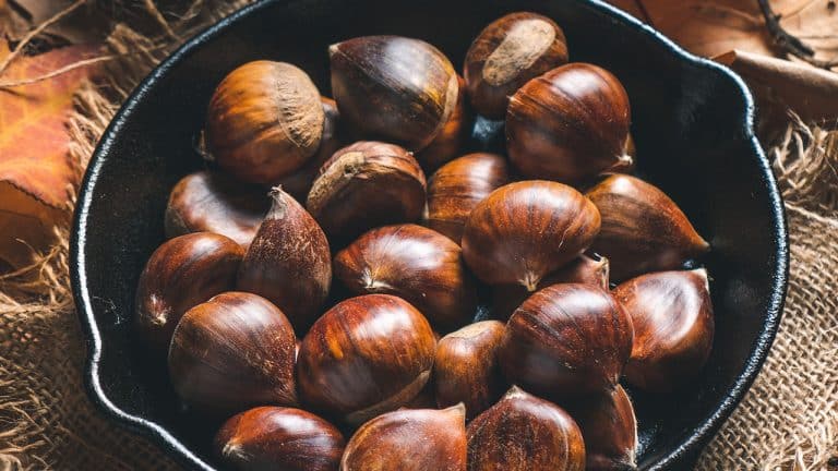 Temps de cuisson Chataignes au four, à l'eau et à la poêle